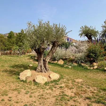 Lieu Dit Arraggio Porto-Vecchio (Corsica)
